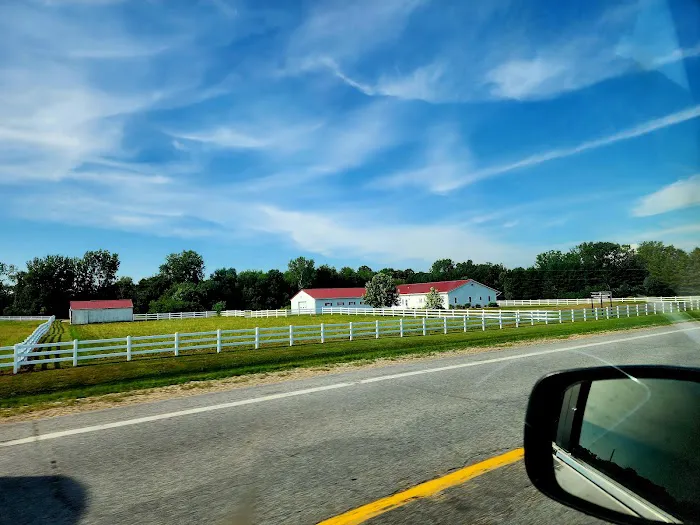 Town & Country Veterinary Hospital Picture 1