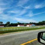 Town & Country Veterinary Hospital