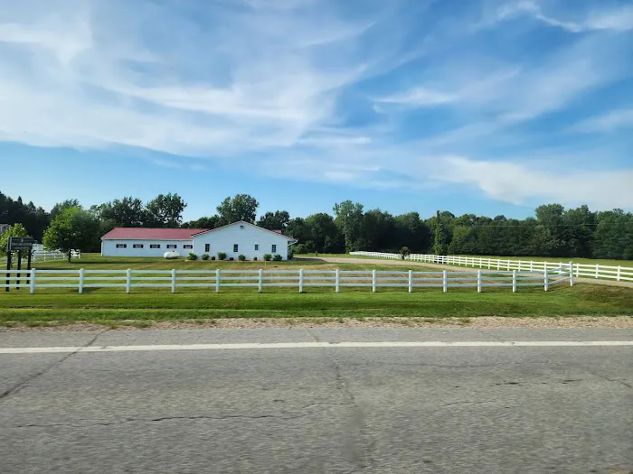Town & Country Veterinary Hospital Picture 4