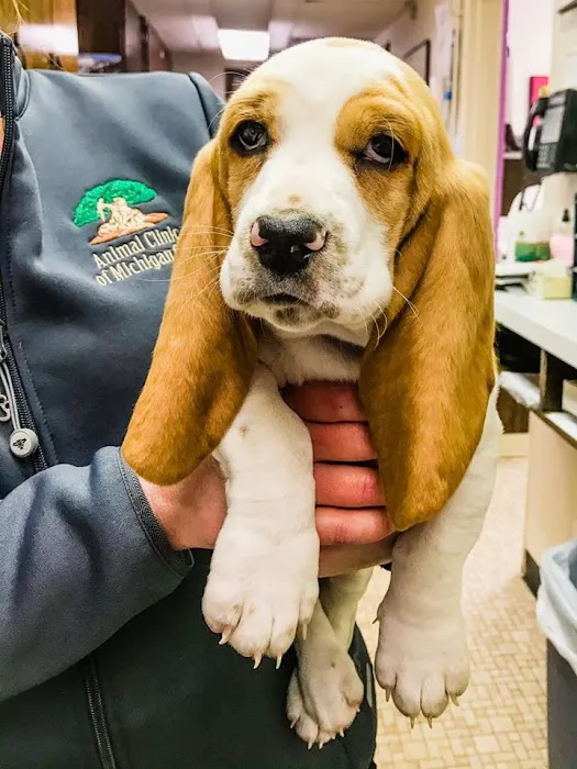 Woodland Veterinary Center Picture 1