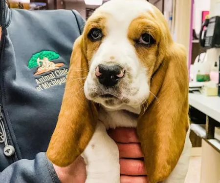 Woodland Veterinary Center