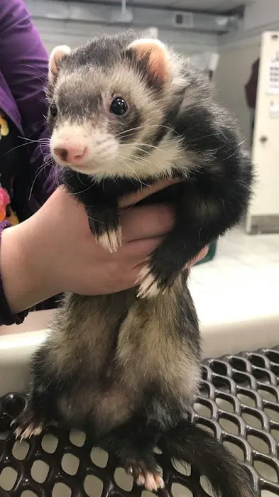 Woodland Veterinary Center Picture 8
