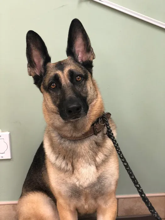 Michigan City Animal Hospital Picture 7