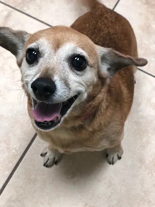 Michigan City Animal Hospital Picture 9