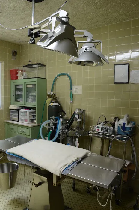 Animal Wellness Clinic Picture 1