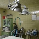 Animal Wellness Clinic