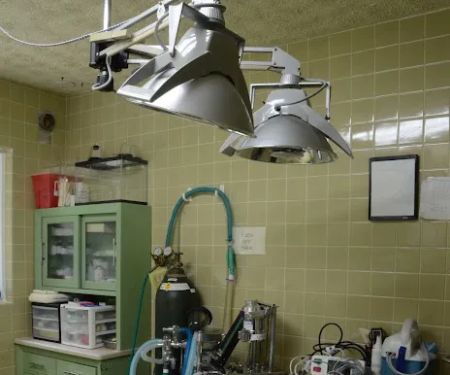 Animal Wellness Clinic