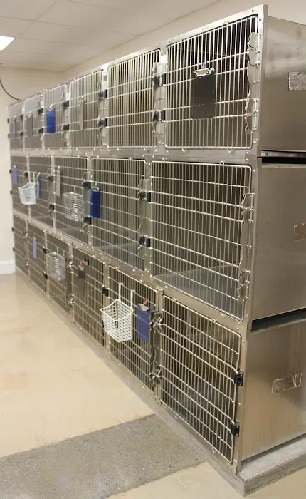 Animal Wellness Center of Athens Picture 5