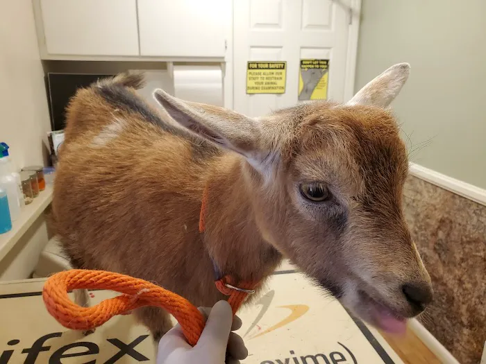 Twin Oaks Animal Hospital Picture 4