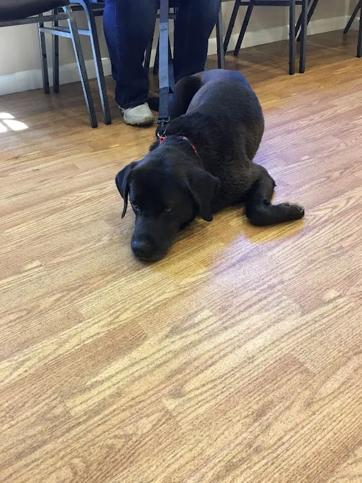 Twin Oaks Animal Hospital Picture 3