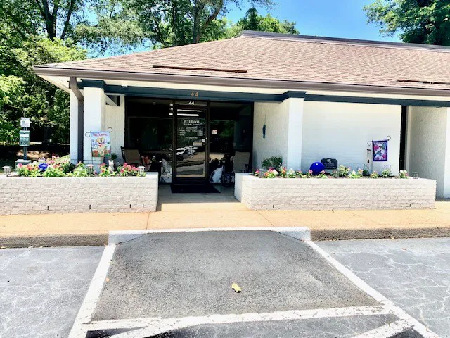 Willow Animal Clinic Picture 1
