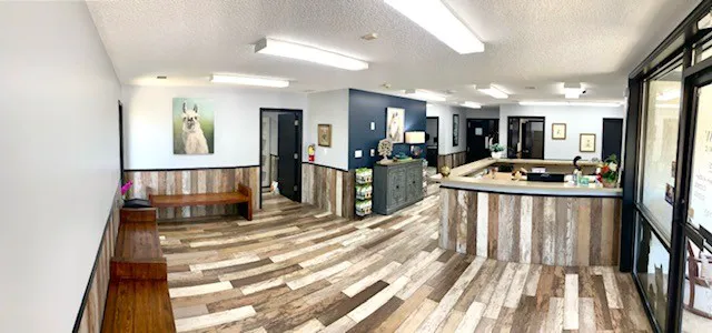Willow Animal Clinic Picture 2