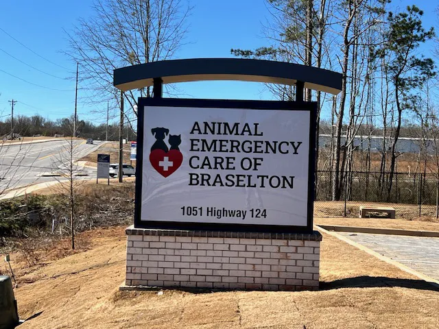 Animal Emergency Care of Braselton Picture 9