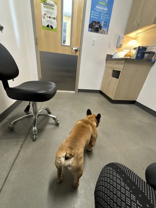 Thrive Pet Healthcare - Marietta Picture 1