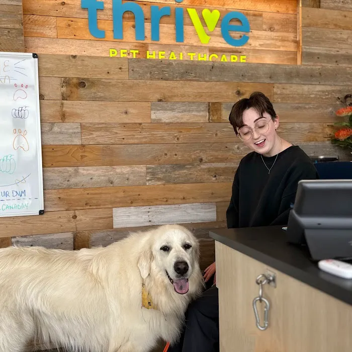 Thrive Pet Healthcare - Marietta Picture 6