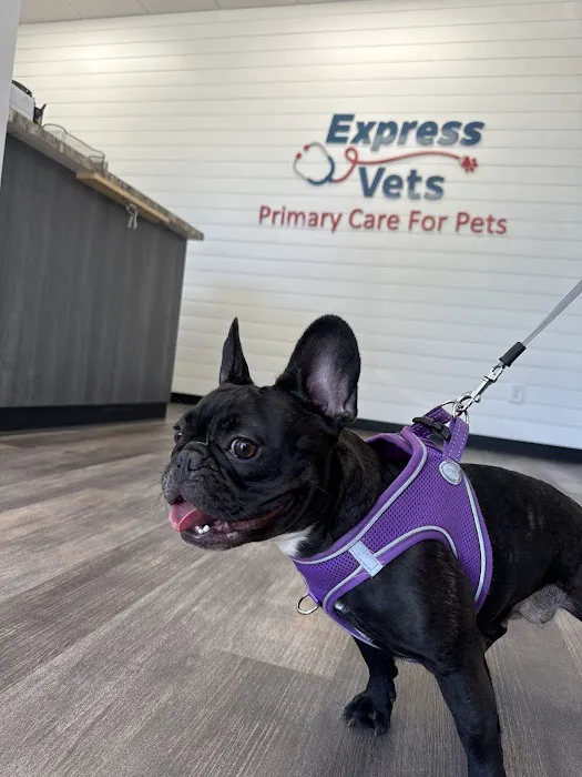 Express Vets Marietta Picture 4