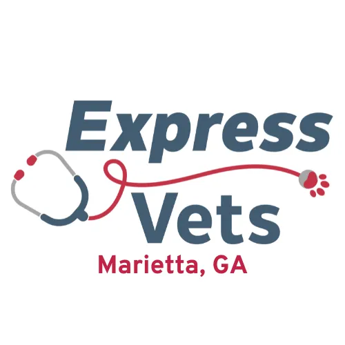 Express Vets Marietta Picture 5