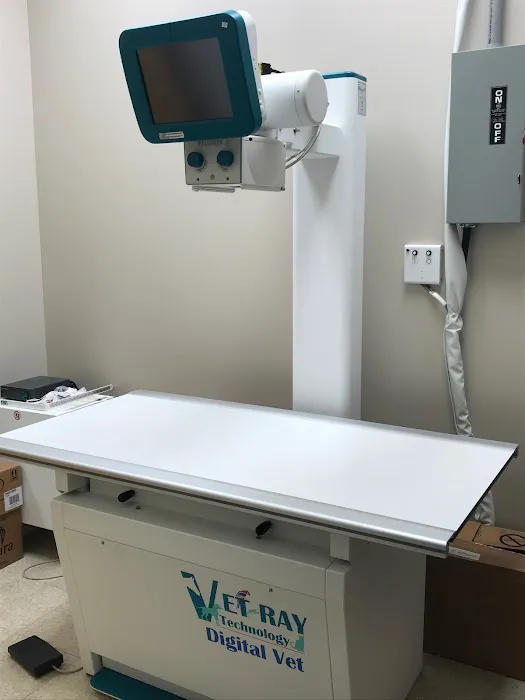 Laurel Springs Animal Hospital Picture 2