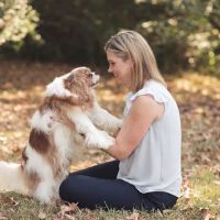 Four Paws Animal Hospital at Johns Creek ico