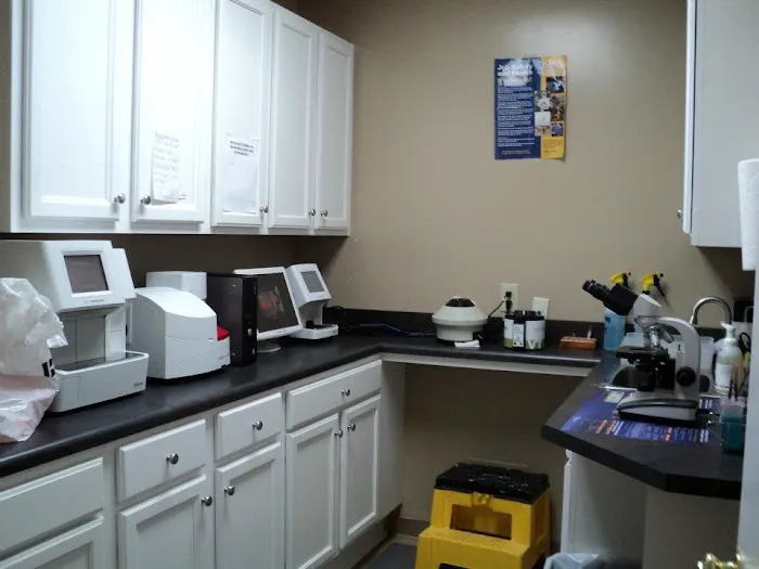 Four Paws Animal Hospital at Johns Creek Picture 6