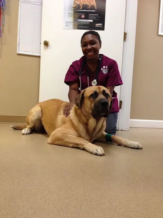 Four Paws Animal Hospital at Johns Creek Picture 7