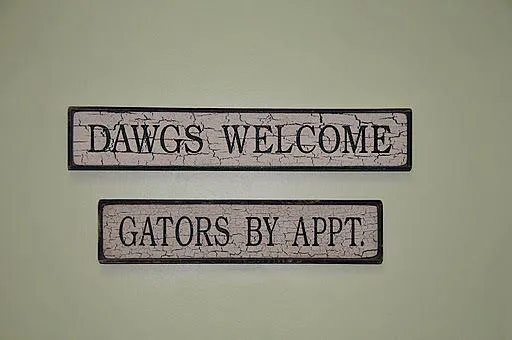Four Paws Animal Hospital at Johns Creek Picture 10