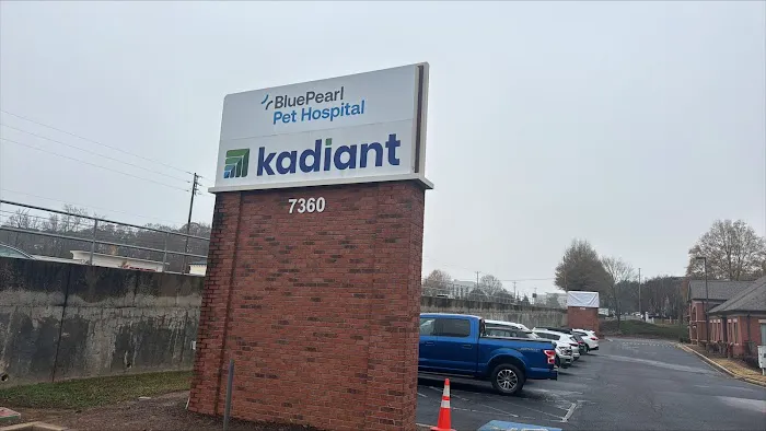 BluePearl Pet Hospital Picture 6