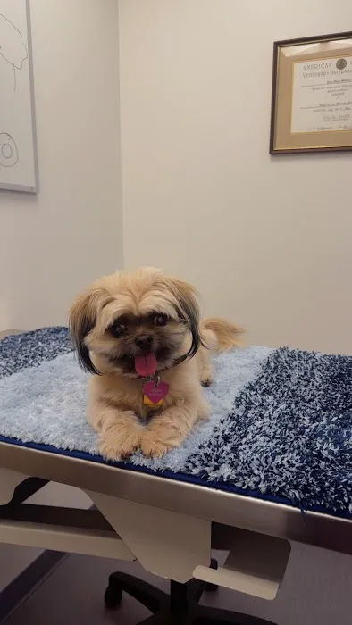 BluePearl Pet Hospital Picture 9