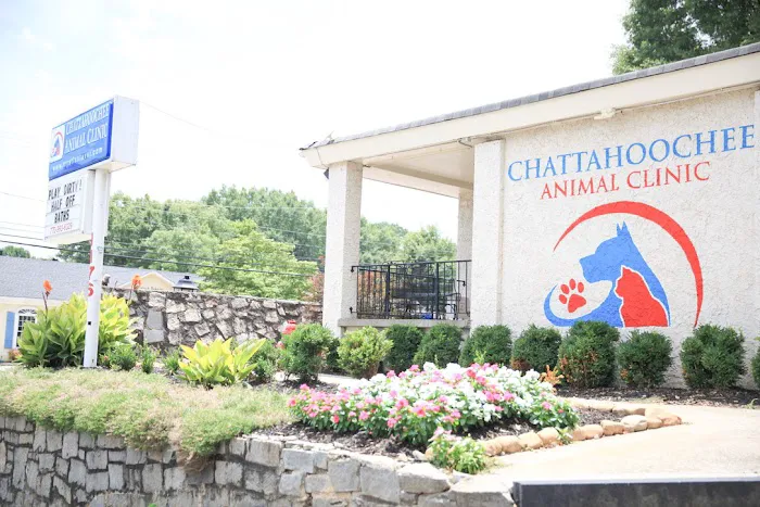 Chattahoochee Animal Clinic Picture 7