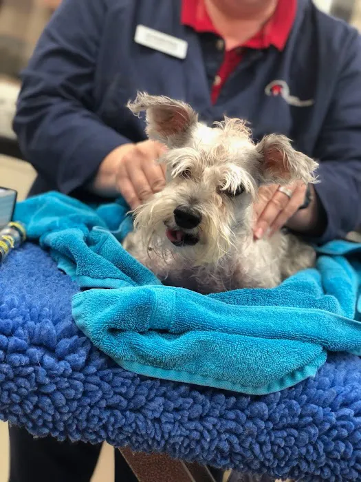 Atlanta Animal Rehab & Fitness Picture 3