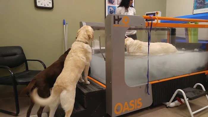 Atlanta Animal Rehab & Fitness Picture 1