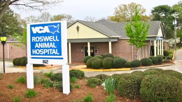 VCA Roswell Animal Hospital Picture 3