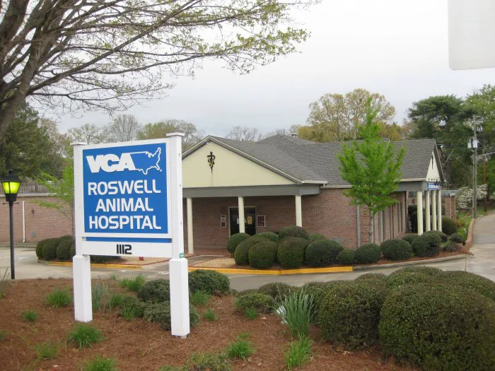 VCA Roswell Animal Hospital Picture 4
