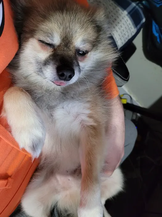Banfield Pet Hospital Picture 7