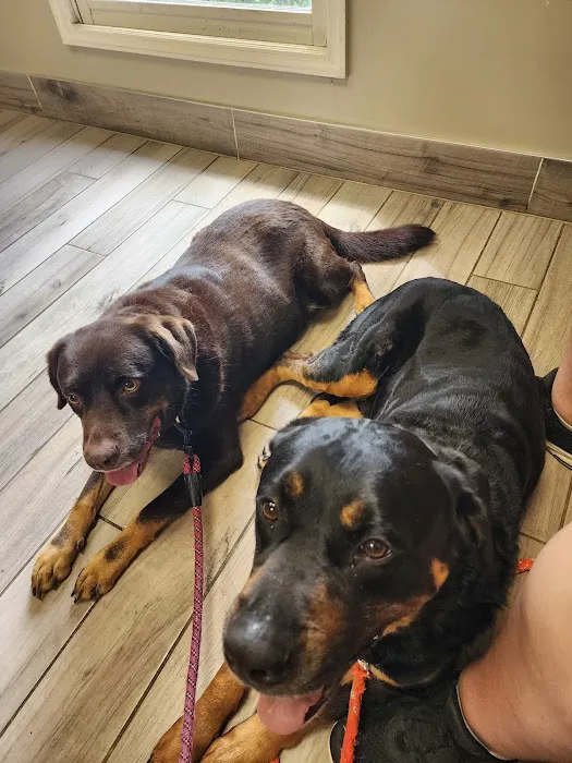 Tritt Animal Hospital Picture 4