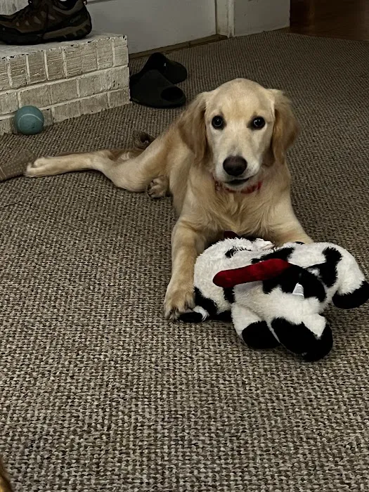Tritt Animal Hospital Picture 5
