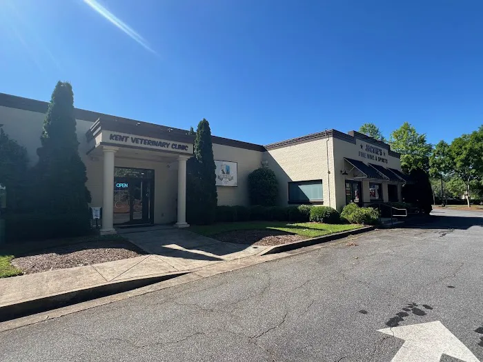 Kent Vet Clinic East Cobb Picture 9