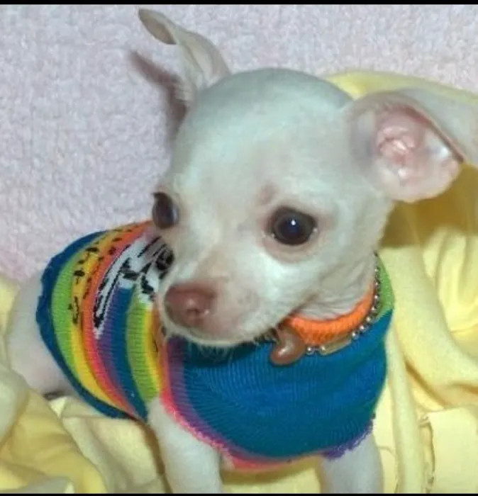 Lassiter Animal Hospital Picture 5