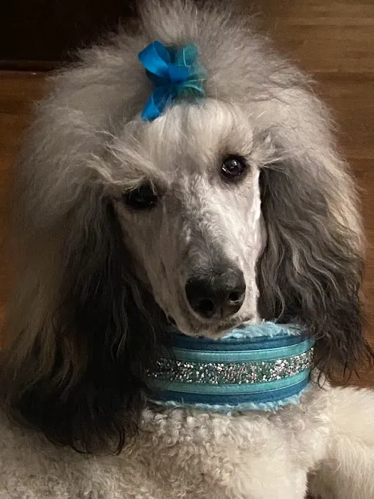 Lassiter Animal Hospital Picture 7