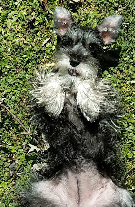 Lassiter Animal Hospital Picture 9