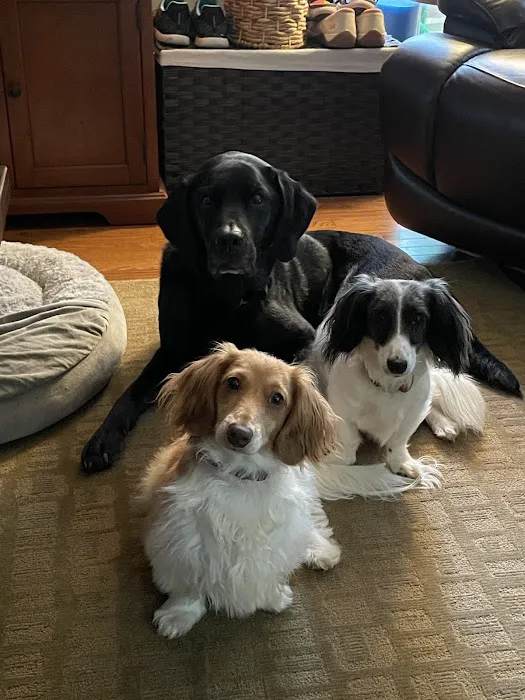 Lassiter Animal Hospital Picture 10