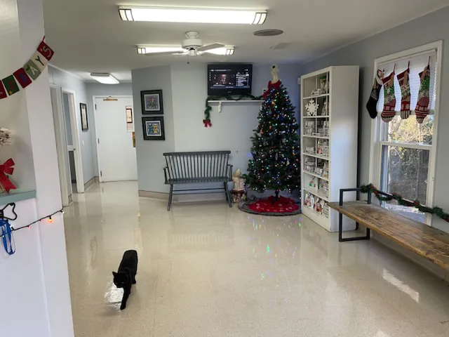 Holcomb Bridge Animal Hospital Picture 3