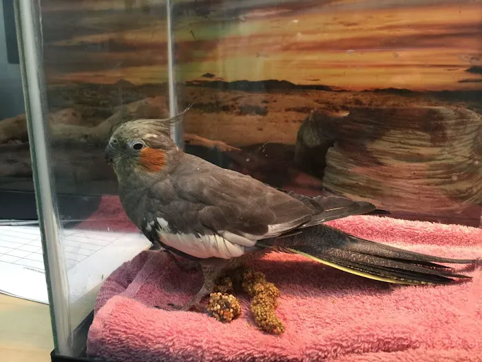 East Roswell Vet Hospital Picture 8