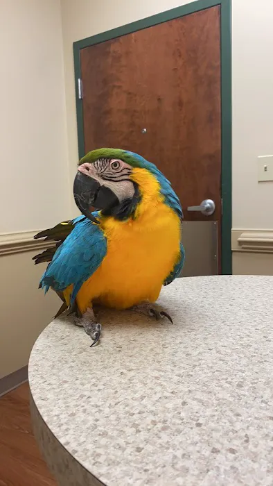 Lanier Animal Hospital Picture 1