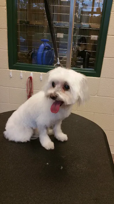 Lanier Animal Hospital Picture 8