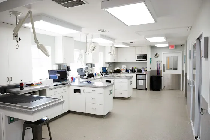 Sugar Hill Animal Hospital Picture 10