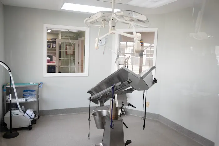 Sugar Hill Animal Hospital Picture 9