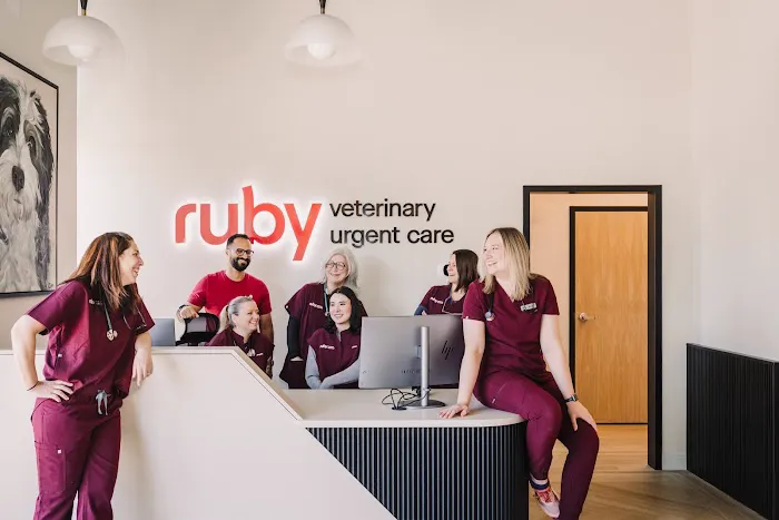 Ruby Veterinary Urgent Care – Johns Creek Picture 1