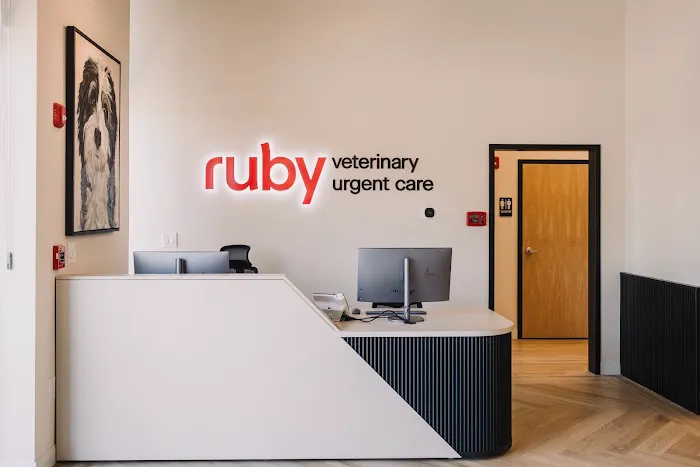Ruby Veterinary Urgent Care – Johns Creek Picture 3