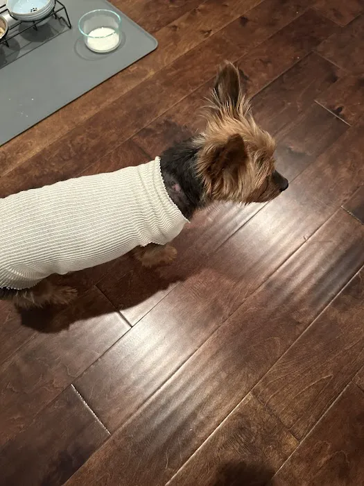 Ruby Veterinary Urgent Care – Johns Creek Picture 8
